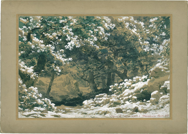 Don Carlo by Giuseppe Verdi, Modena, 26 Dicembre 1886 La foresta di Fontainebleau, Act I, set design by Carlo Ferrario